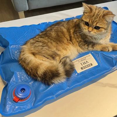 Comfortable Pet Bed