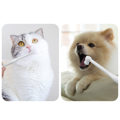 Grooming Tools