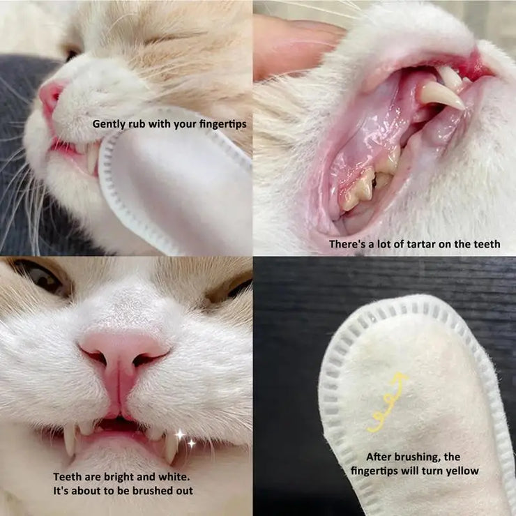 Pet Disposable Cleaning Wipes Dog Teeth Cleaning Finger Wipes Cat Ear and Eye Beauty Wipes Cat Hygiene and Beauty Products 50pcs - My Store