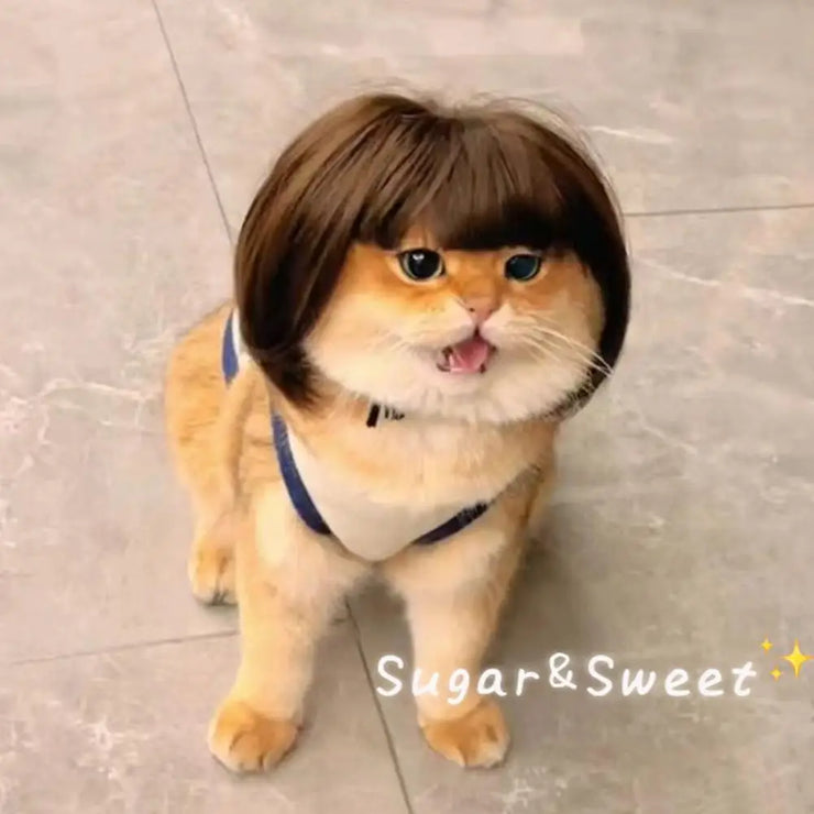 Cat Wig Accessories Dog Headdress Funny Costume Puppy Cosplay Dress Up Cute Pet Wig Cosplay Funny Props Head Accessories - My Store