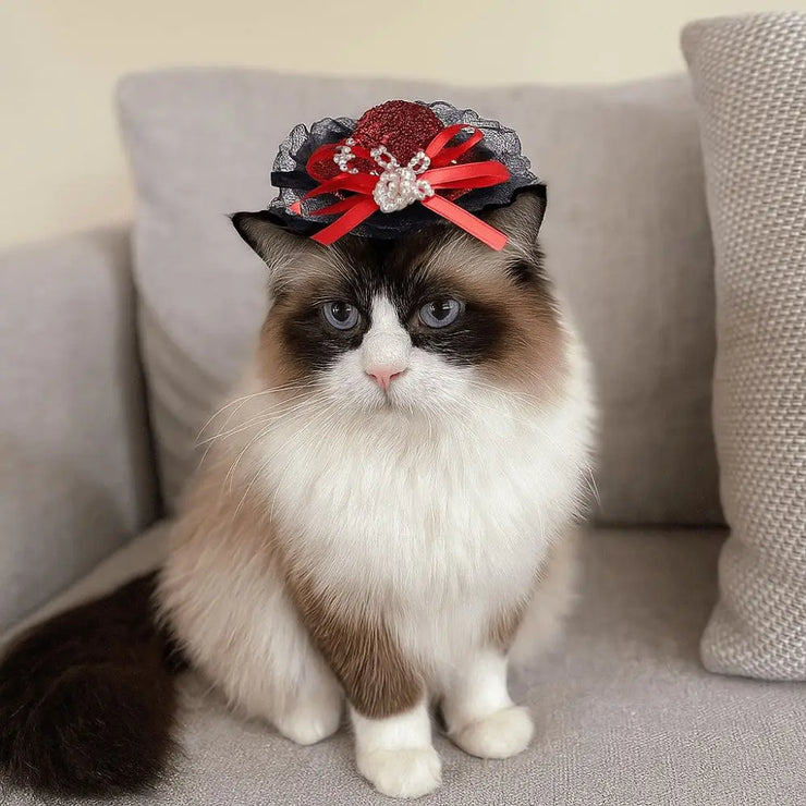 Pet Accessories Adjustable Pet Halloween Hat British Style Sequin Cat Lace Hat Elastic Band Pet Decorative Hat Pet Party - My Store