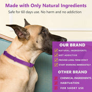 Pet Calming Collar For Cats Dogs Adjustable Anxiety Pheromone Reducing Pet Collar Lasting Natural Calm Relax Soothing Collars - My Store