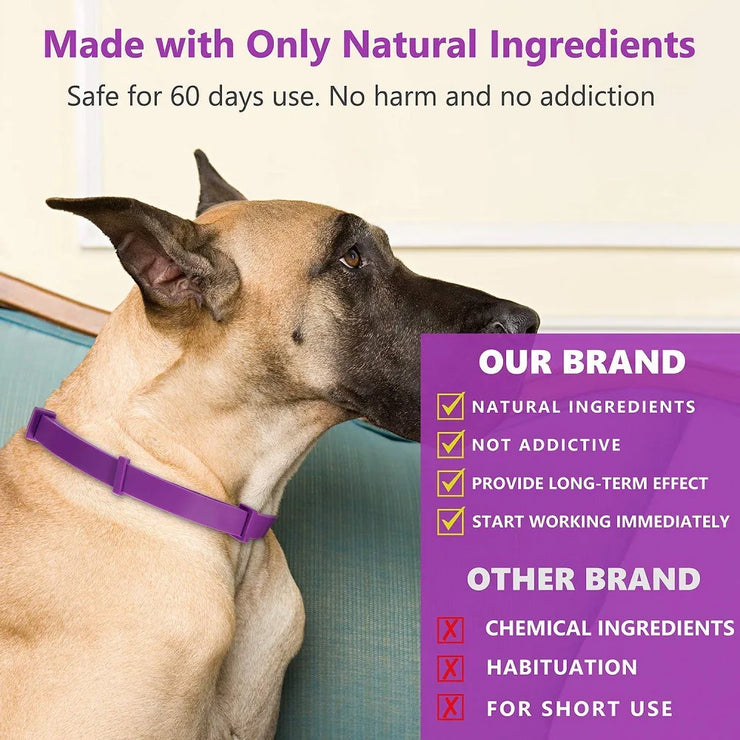 Pet Calming Collar For Cats Dogs Adjustable Anxiety Pheromone Reducing Pet Collar Lasting Natural Calm Relax Soothing Collars - My Store