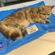 Animal Surgical Accessories Pet Vacuum Positioning Mat Small Veterinary Examination Pad Pet Care Room Cat And Dog Pet - My Store
