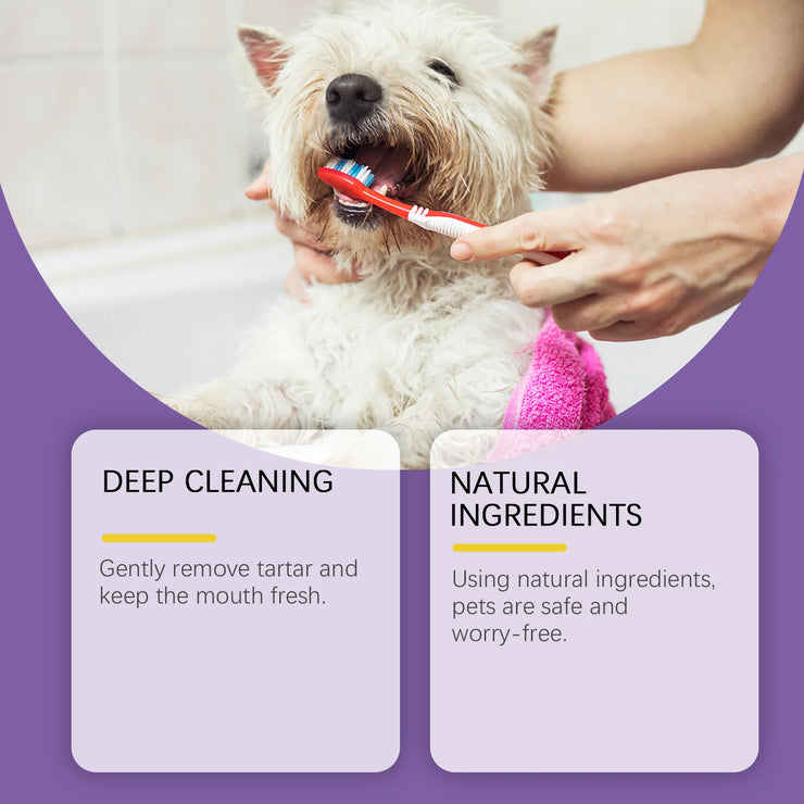 Probiotic Toothpaste for Pets:Eliminates Plaque,Freshens Breath,Gentle Teeth Cleaning&Oral Care,Shared by All Household Pets - My Store