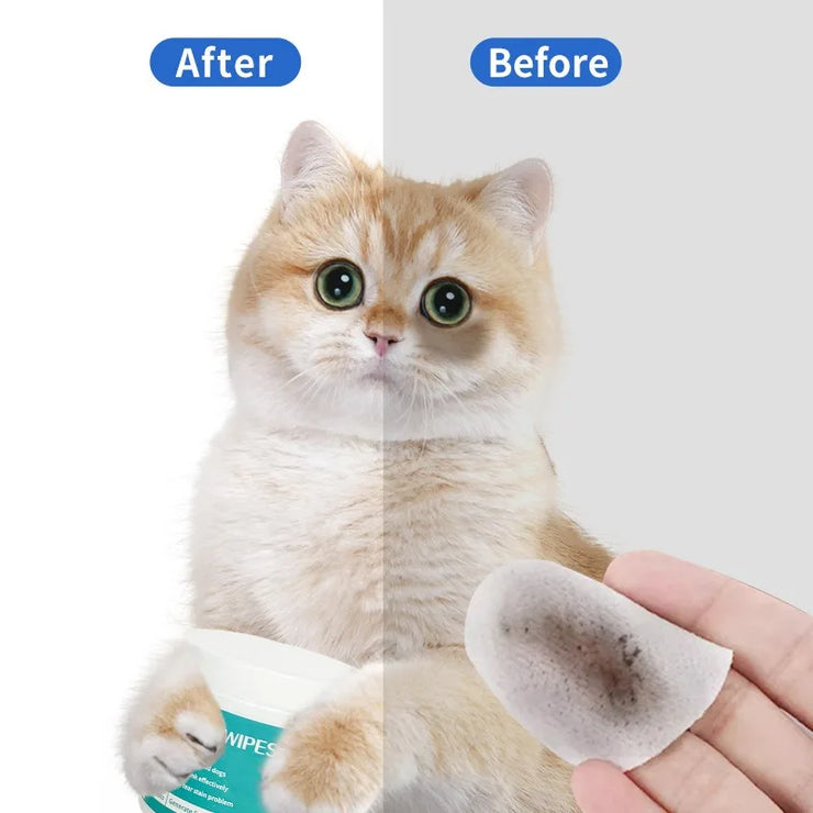 100 Piece Pet Eye Cleaning Wipes Tear Mark Remover for Cats Hygienic Grooming Wet Tissues for Home Pet Care - My Store