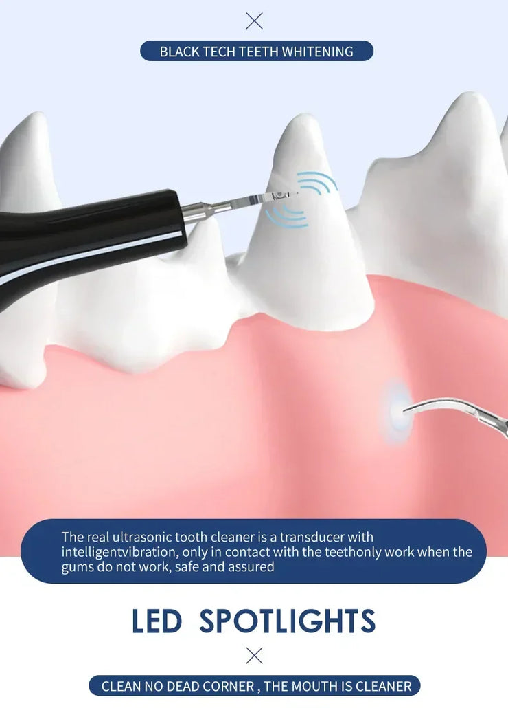 Pet Teeth Cleaning Tools Dog Toothbrushes Dog Supplies Pet Grooming Toothbrush Dental Stain Cleaning Pen Professional Products - My Store