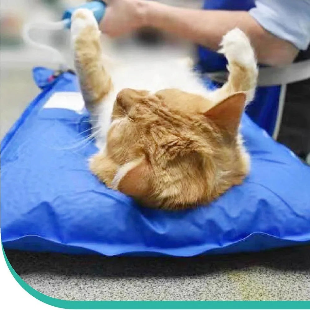 Animal Surgical Accessories Pet Vacuum Positioning Mat Small Veterinary Examination Pad Pet Care Room Cat And Dog Pet - My Store