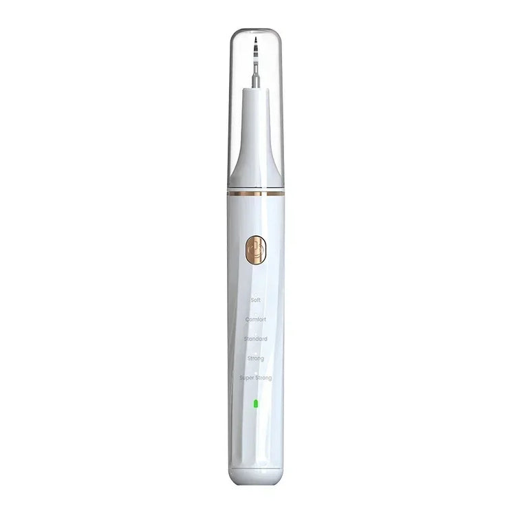 Pet Teeth Cleaning Tools Dog Toothbrushes Dog Supplies Pet Grooming Toothbrush Dental Stain Cleaning Pen Professional Products - My Store