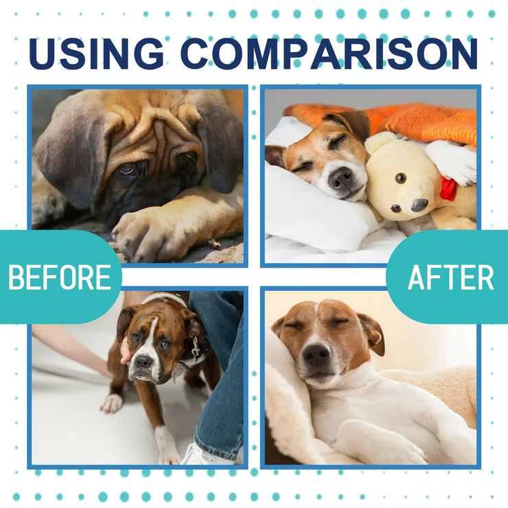 Pet Calming Liquid Dog Emotions Relief Noise Reduction Train Anti Anxiety Fighting Calming Diffuser Manage Cat Calm down Fluid - My Store