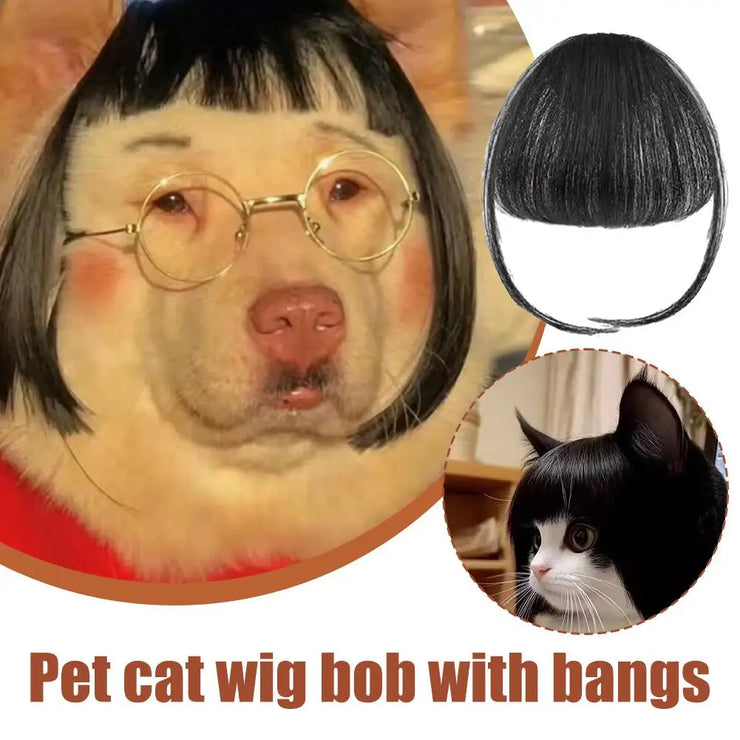 Cat Wig Accessories Dog Headdress Funny Costume Puppy Cosplay Dress Up Cute Pet Wig Cosplay Funny Props Head Accessories - My Store
