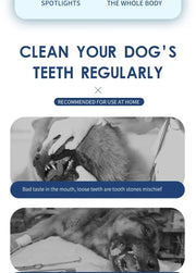 Pet Teeth Cleaning Tools Dog Toothbrushes Dog Supplies Pet Grooming Toothbrush Dental Stain Cleaning Pen Professional Products - My Store