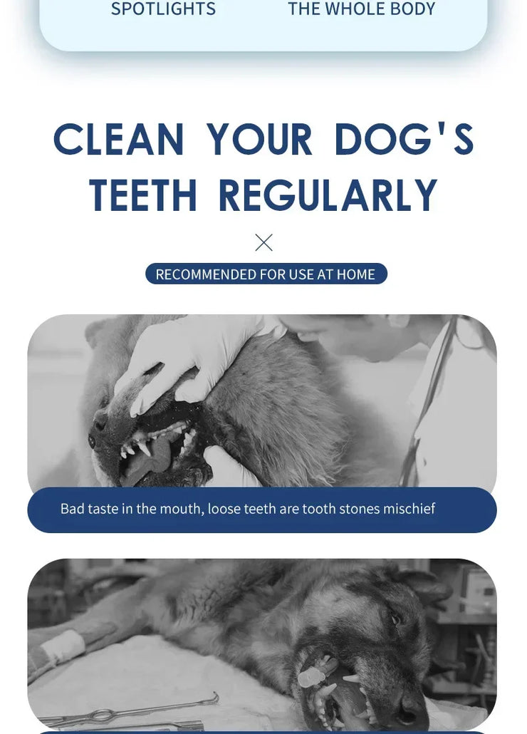 Pet Teeth Cleaning Tools Dog Toothbrushes Dog Supplies Pet Grooming Toothbrush Dental Stain Cleaning Pen Professional Products - My Store