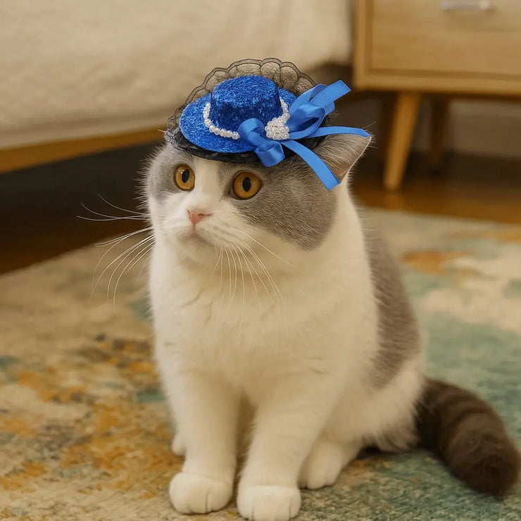 Pet Accessories Adjustable Pet Halloween Hat Sequin Elastic Band Cat Cosplay Hat British Style Pet Decorative Hat Pet Party - My Store