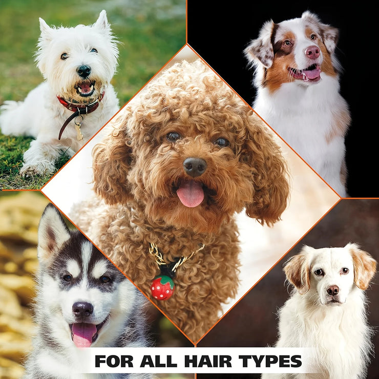 Pet Bath Gel,Pet Shampoo,Cat and Dog Bath Gel,Gentle Soothing Formula,Suitable for Cats and Dogs,Cares for Pet Hair Health,500ml - My Store