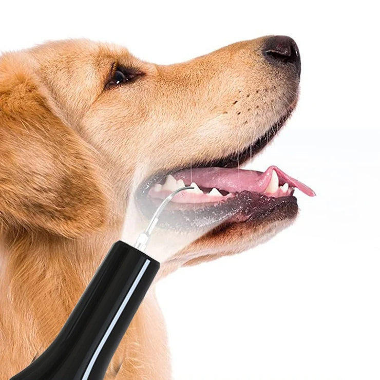 Pet Teeth Cleaning Tools Dog Toothbrushes Dog Supplies Pet Grooming Toothbrush Dental Stain Cleaning Pen Professional Products - My Store