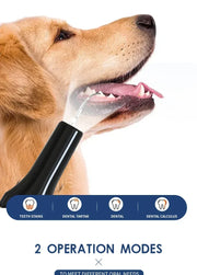 Pet Teeth Cleaning Tools Dog Toothbrushes Dog Supplies Pet Grooming Toothbrush Dental Stain Cleaning Pen Professional Products - My Store