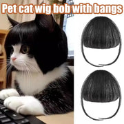 Cat Wig Accessories Dog Headdress Funny Costume Puppy Cosplay Dress Up Cute Pet Wig Cosplay Funny Props Head Accessories - My Store