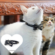 Pet Stuff Accesories Cats Items Detachable Collar Series Accessories Dogs Collars Guides Supplies Leash Kittens Pets - My Store