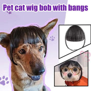 Cat Wig Accessories Dog Headdress Funny Costume Puppy Cosplay Dress Up Cute Pet Wig Cosplay Funny Props Head Accessories - My Store