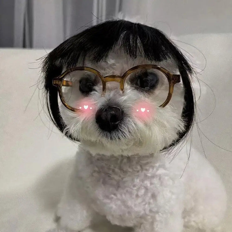 Cat Wig Accessories Dog Headdress Funny Costume Puppy Cosplay Dress Up Cute Pet Wig Cosplay Funny Props Head Accessories - My Store