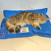 Animal Surgical Accessories Pet Vacuum Positioning Mat Small Veterinary Examination Pad Pet Care Room Cat And Dog Pet - My Store