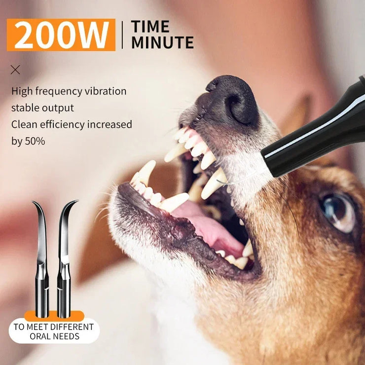 Pet Teeth Cleaning Tools Dog Toothbrushes Dog Supplies Pet Grooming Toothbrush Dental Stain Cleaning Pen Professional Products - My Store