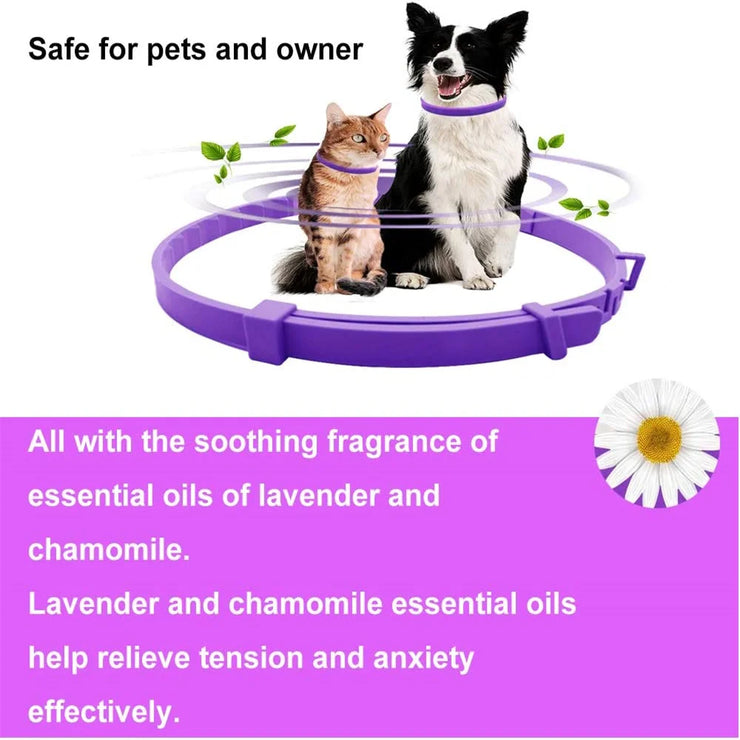 Pet Calming Collar For Cats Dogs Adjustable Anxiety Pheromone Reducing Pet Collar Lasting Natural Calm Relax Soothing Collars - My Store