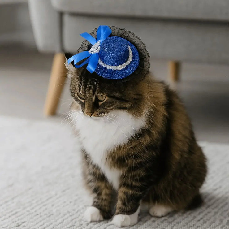Pet Accessories Adjustable Pet Halloween Hat Sequin Elastic Band Cat Cosplay Hat British Style Pet Decorative Hat Pet Party - My Store