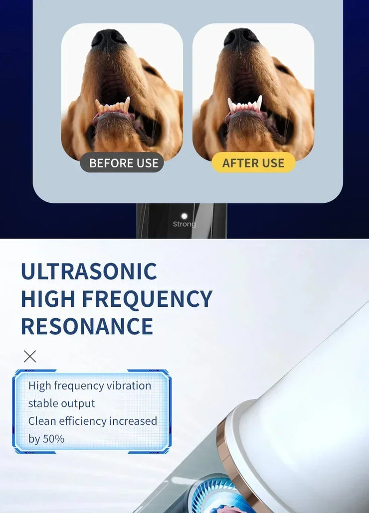 Pet Teeth Cleaning Tools Dog Toothbrushes Dog Supplies Pet Grooming Toothbrush Dental Stain Cleaning Pen Professional Products - My Store