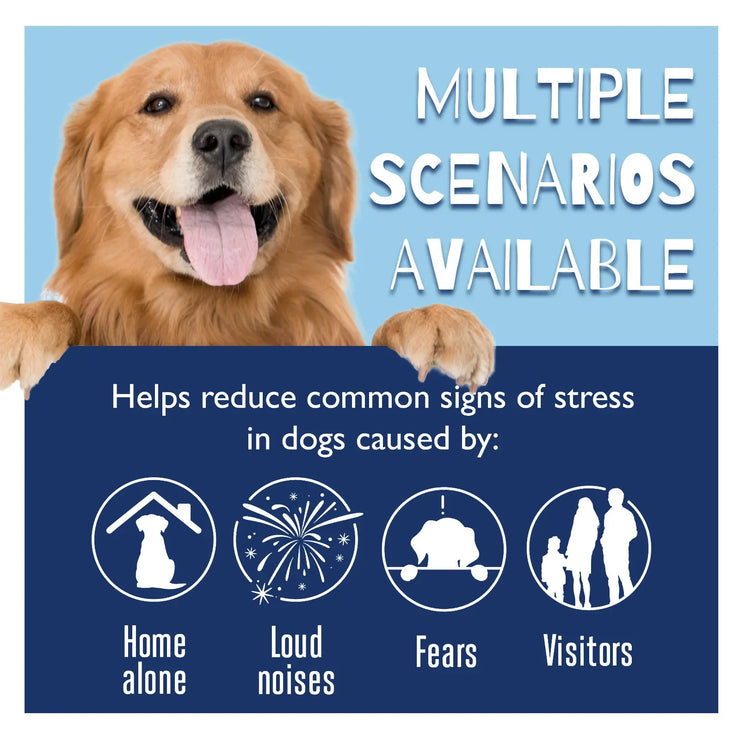 Pet Calming Liquid Dog Emotions Relief Noise Reduction Train Anti Anxiety Fighting Calming Diffuser Manage Cat Calm down Fluid - My Store