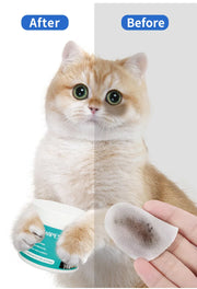 100 Piece Pet Eye Cleaning Wipes Tear Mark Remover for Cats Hygienic Grooming Wet Tissues for Home Pet Care - My Store