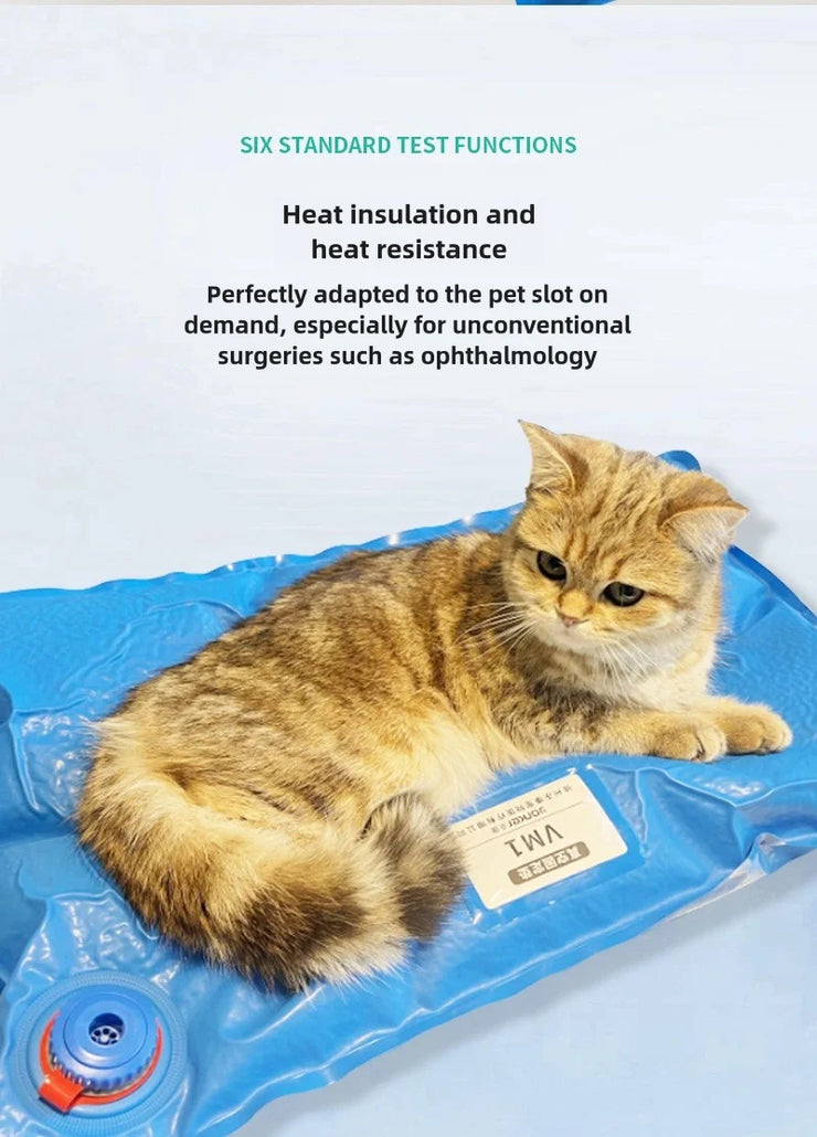 Animal Surgical Accessories Pet Vacuum Positioning Mat Small Veterinary Examination Pad Pet Care Room Cat And Dog Pet - My Store