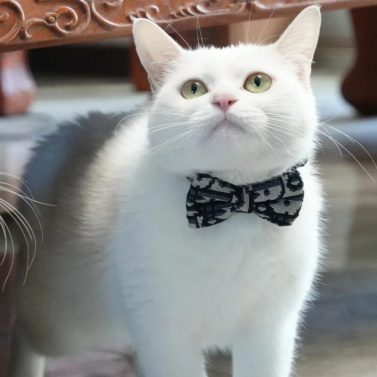 Pet Stuff Accesories Cats Items Detachable Collar Series Accessories Dogs Collars Guides Supplies Leash Kittens Pets - My Store