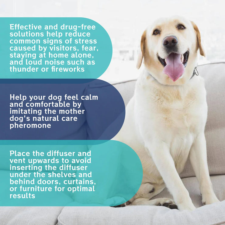 Pet Calming Liquid Dog Emotions Relief Noise Reduction Train Anti Anxiety Fighting Calming Diffuser Manage Cat Calm down Fluid - My Store