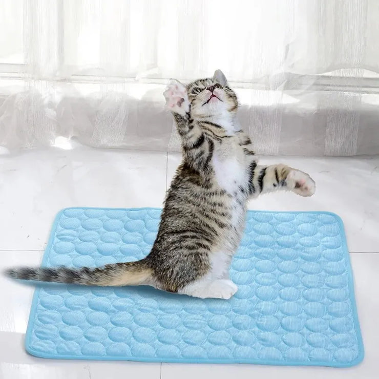 Pet Ice Mats Summer Cat Dog Sofa Nest Bed Cooling Sleeping Pad for Small Dogs Pets Durable Sofa Cooling Pad Blanket - My Store