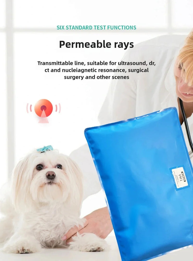 Animal Surgical Accessories Pet Vacuum Positioning Mat Small Veterinary Examination Pad Pet Care Room Cat And Dog Pet - My Store