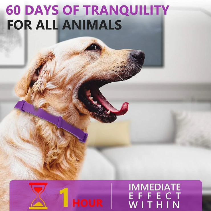 Pet Calming Collar For Cats Dogs Adjustable Anxiety Pheromone Reducing Pet Collar Lasting Natural Calm Relax Soothing Collars - My Store
