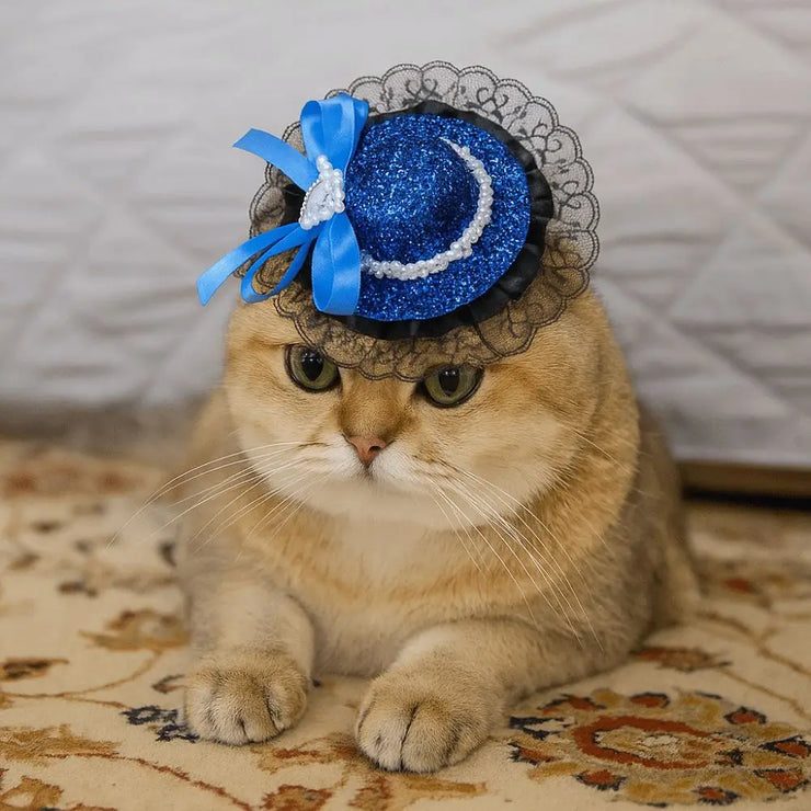 Pet Accessories Adjustable Pet Halloween Hat British Style Sequin Cat Lace Hat Elastic Band Pet Decorative Hat Pet Party - My Store
