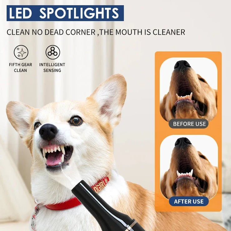 Pet Teeth Cleaning Tools Dog Toothbrushes Dog Supplies Pet Grooming Toothbrush Dental Stain Cleaning Pen Professional Products - My Store